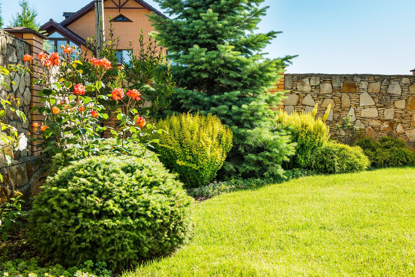 Gepflegter Garten mit Sträuchern und Rasen